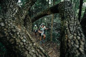 BIB: 
                            <button type="button" onclick="openModal(25391878)" class="btn btn-primary btn-sm float-right btn-popup" data-toggle="modal" data-target=".modal-high-quality">
                        <i class="fas fa-shopping-cart"></i> Add to Cart
                    </button>
                                            <button type="button" onclick="isThisMe(25391878, true)" class="btn btn-success btn-sm float-right btn-popup btn-isme hidden" data-toggle="tooltip" data-placement="bottom" title="นี่คือรูปของคุณใช่ไหม คลิกที่นี่เพื่อเอาเข้าอัลบั้ม">
                        <i class="fas fa-plus"></i> Add to album
                    </button>
                    <button type="button" onclick="isThisMe(25391878, false)" class="btn btn-warning btn-sm float-right btn-popup btn-isnotme hidden">
                        <i class="fas fa-ban"></i> Remove from album
                    </button>